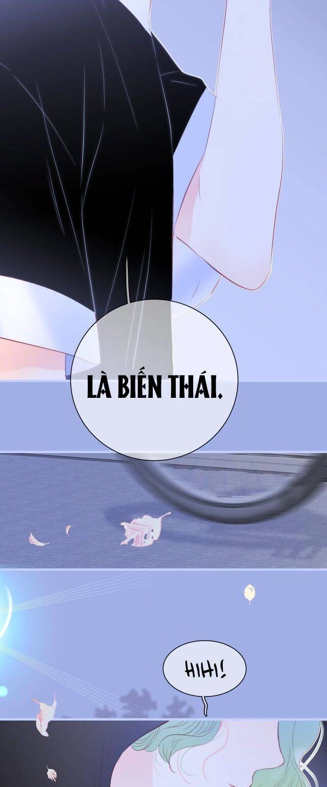 Chạy Trốn Cùng Con Nhím Chapter 19 - 27