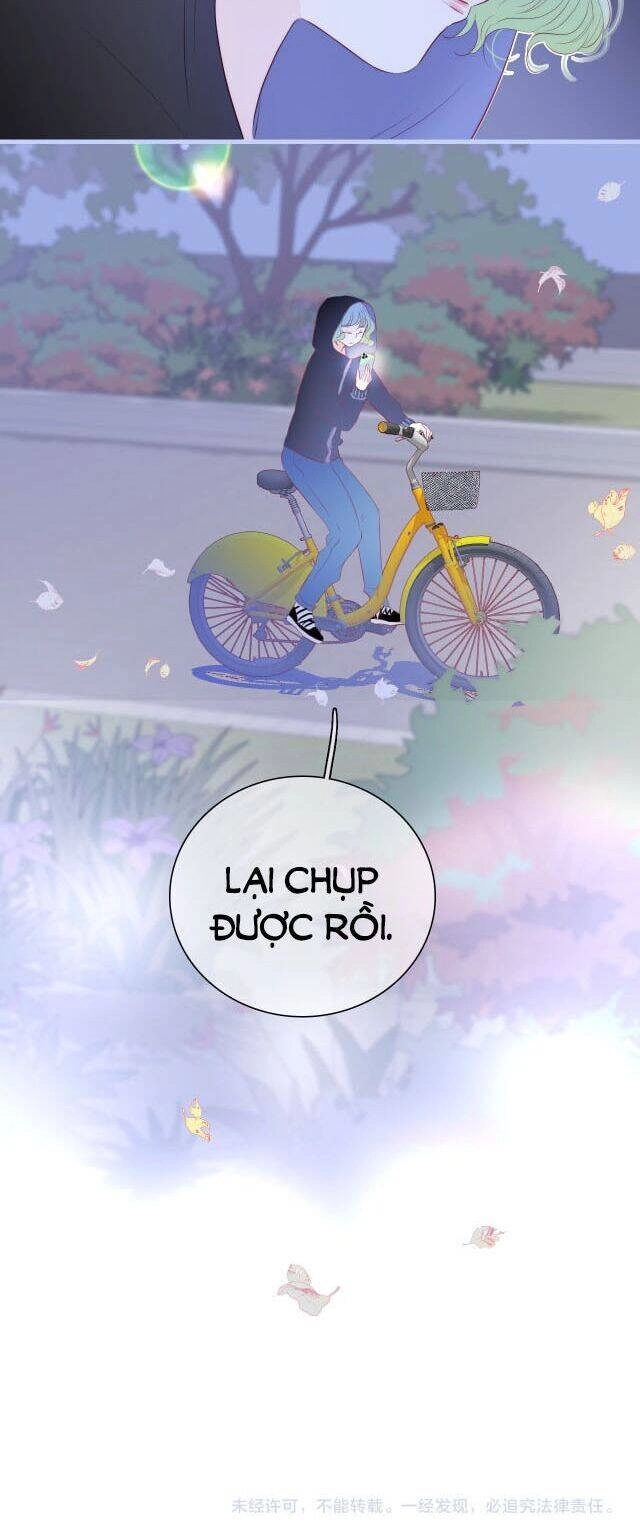 Chạy Trốn Cùng Con Nhím Chapter 19 - 28