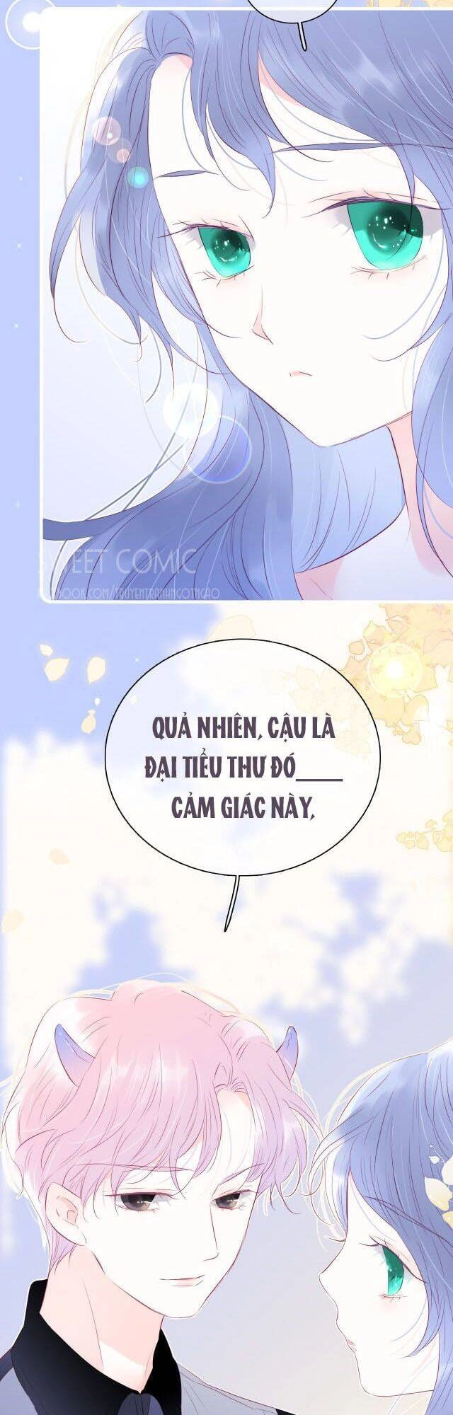 Chạy Trốn Cùng Con Nhím Chapter 21 - 2