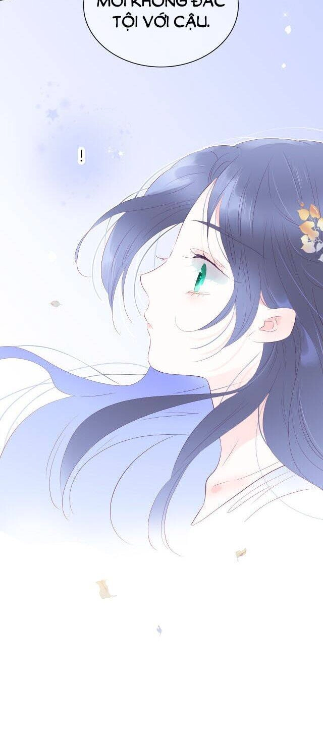 Chạy Trốn Cùng Con Nhím Chapter 22 - 27