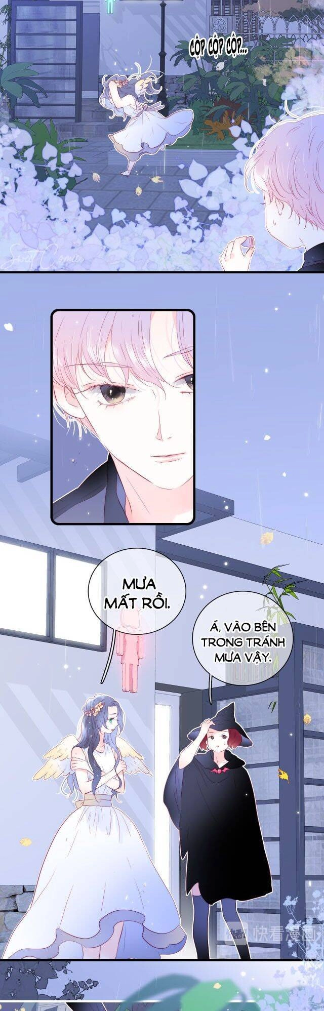 Chạy Trốn Cùng Con Nhím Chapter 23 - 19