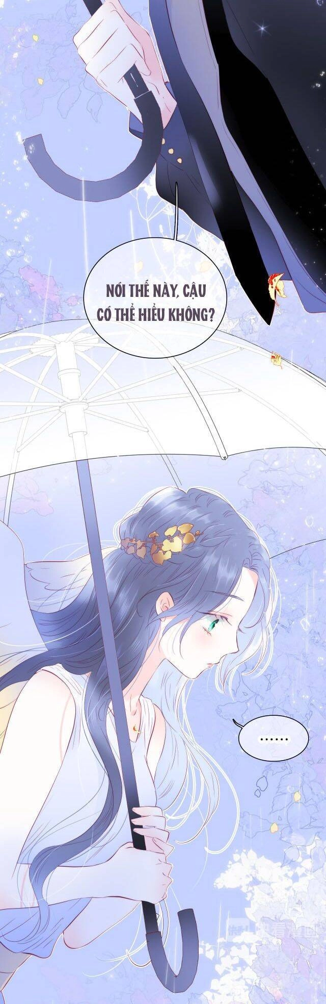 Chạy Trốn Cùng Con Nhím Chapter 23 - 29