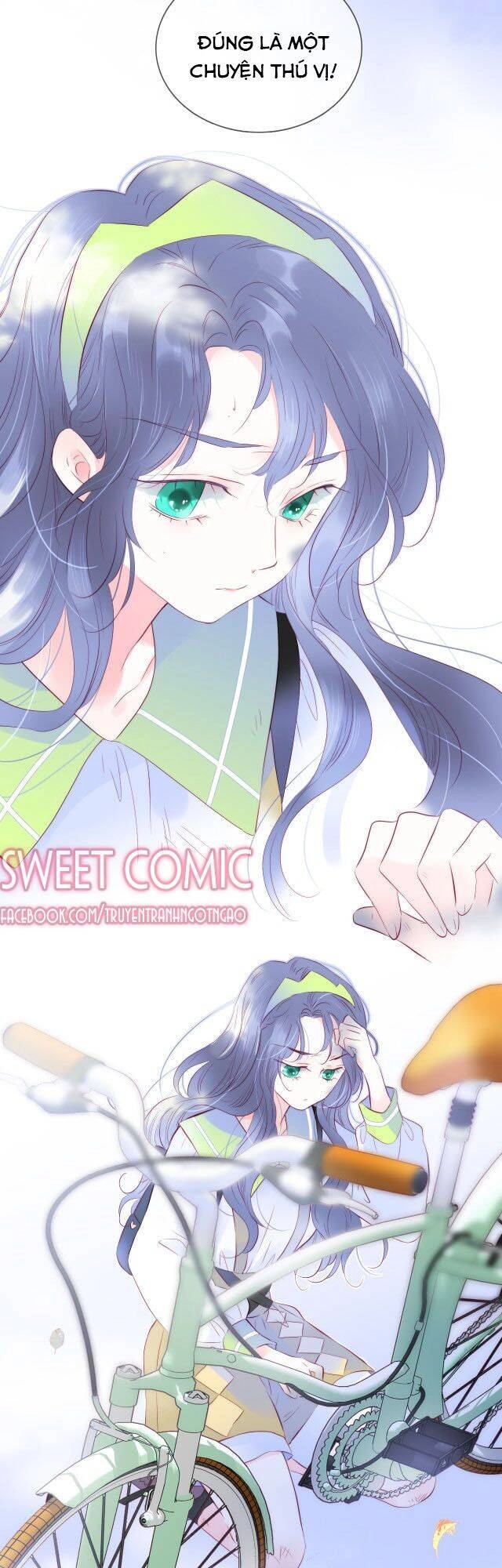 Chạy Trốn Cùng Con Nhím Chapter 25 - 8