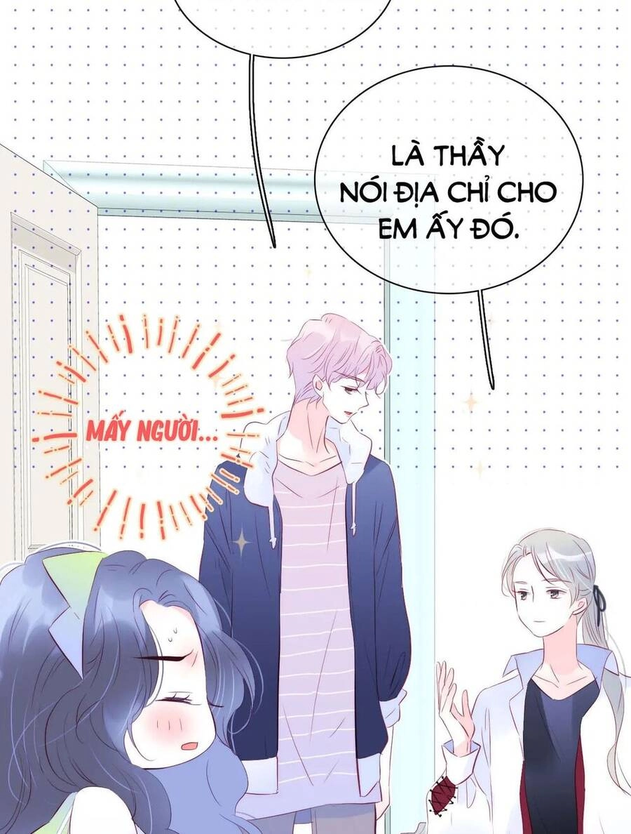 Chạy Trốn Cùng Con Nhím Chapter 27 - 15