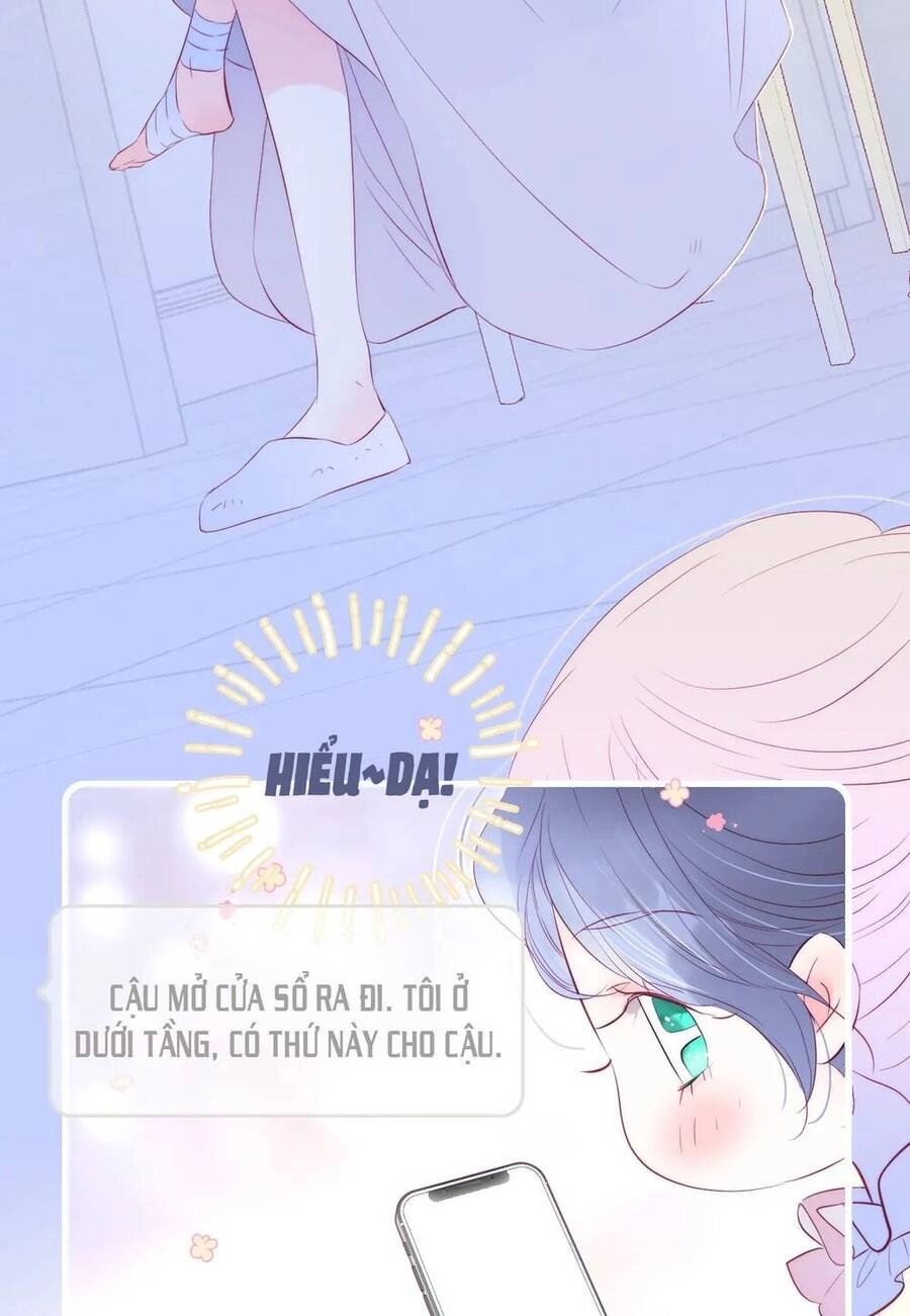 Chạy Trốn Cùng Con Nhím Chapter 29 - 24