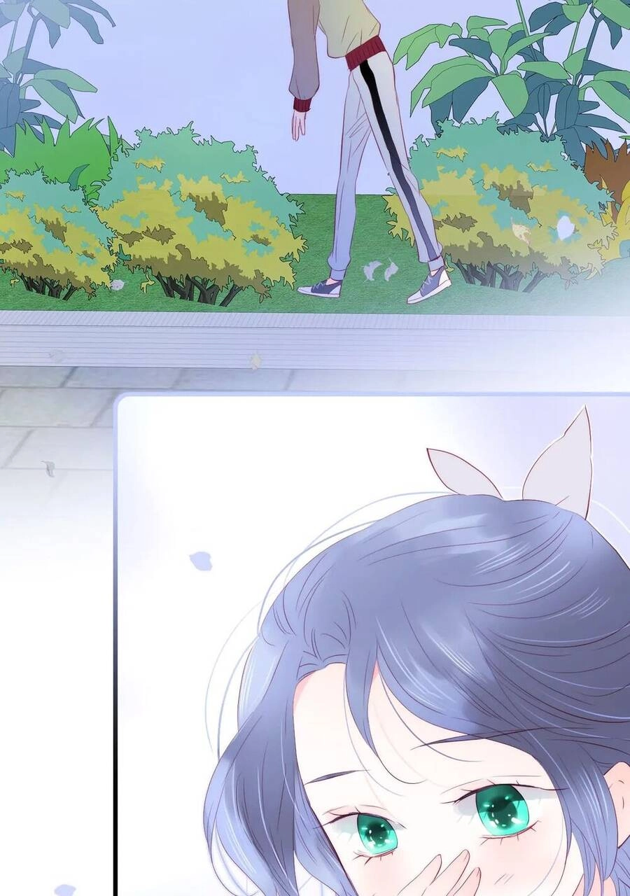 Chạy Trốn Cùng Con Nhím Chapter 29 - 31