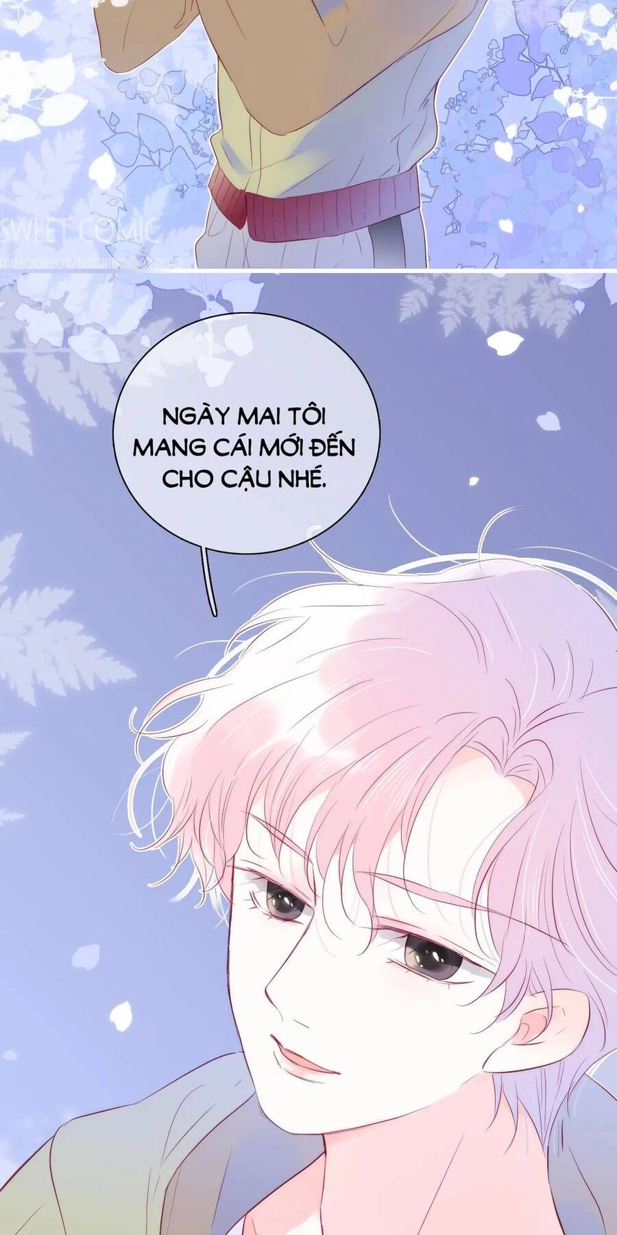 Chạy Trốn Cùng Con Nhím Chapter 29 - 33