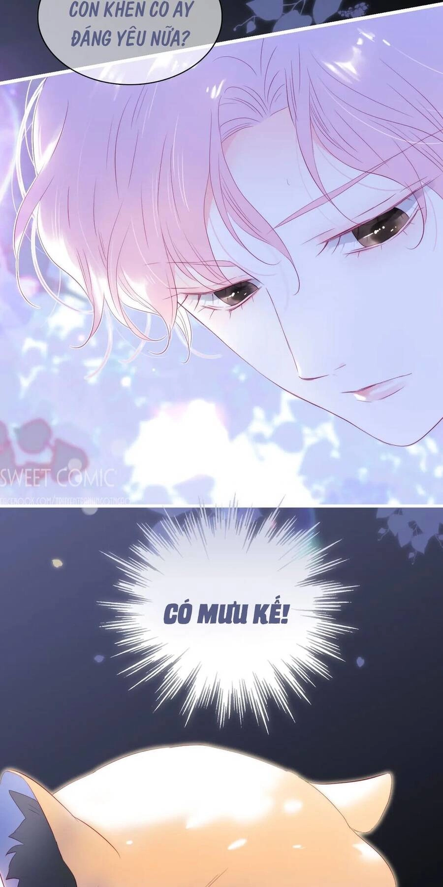 Chạy Trốn Cùng Con Nhím Chapter 33 - 5