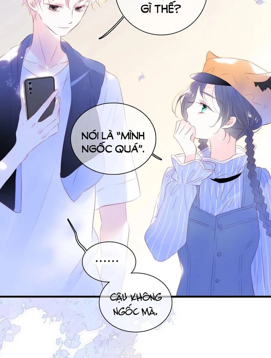 Chạy Trốn Cùng Con Nhím Chapter 33 - 40