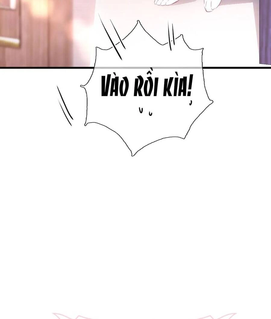 Chạy Trốn Cùng Con Nhím Chapter 34 - 38