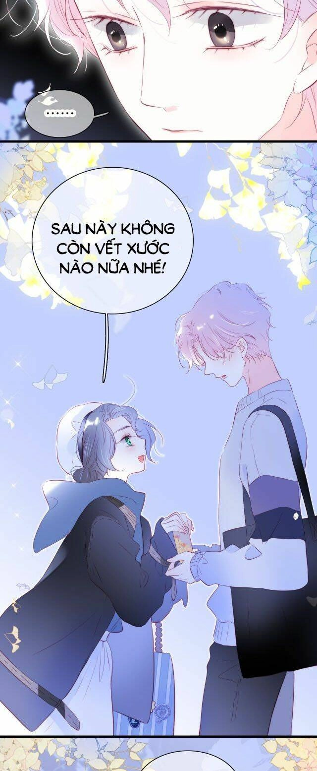 Chạy Trốn Cùng Con Nhím Chapter 42 - 28