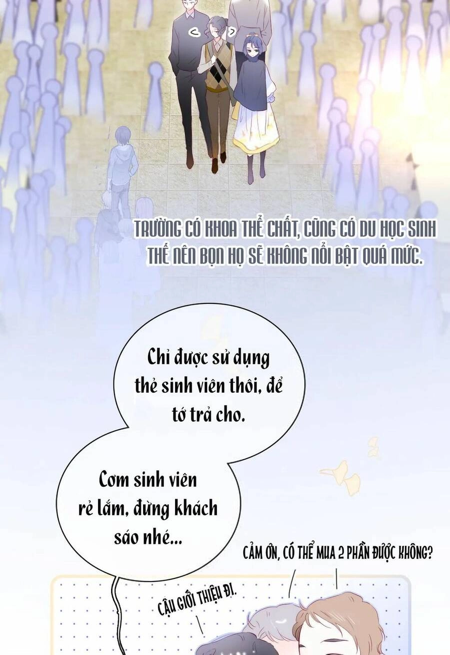 Chạy Trốn Cùng Con Nhím Chapter 43 - 8