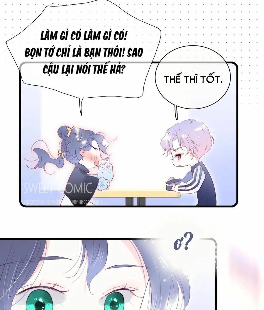 Chạy Trốn Cùng Con Nhím Chapter 43 - 31