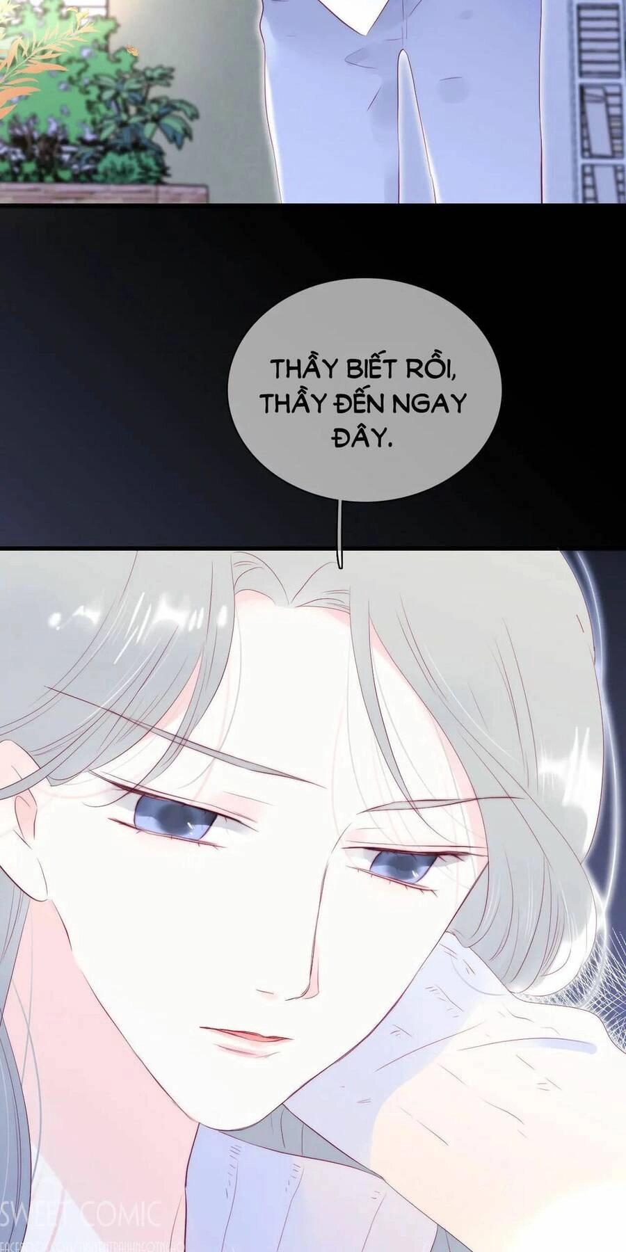 Chạy Trốn Cùng Con Nhím Chapter 49 - 2