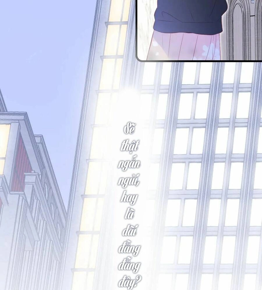 Chạy Trốn Cùng Con Nhím Chapter 51 - 50