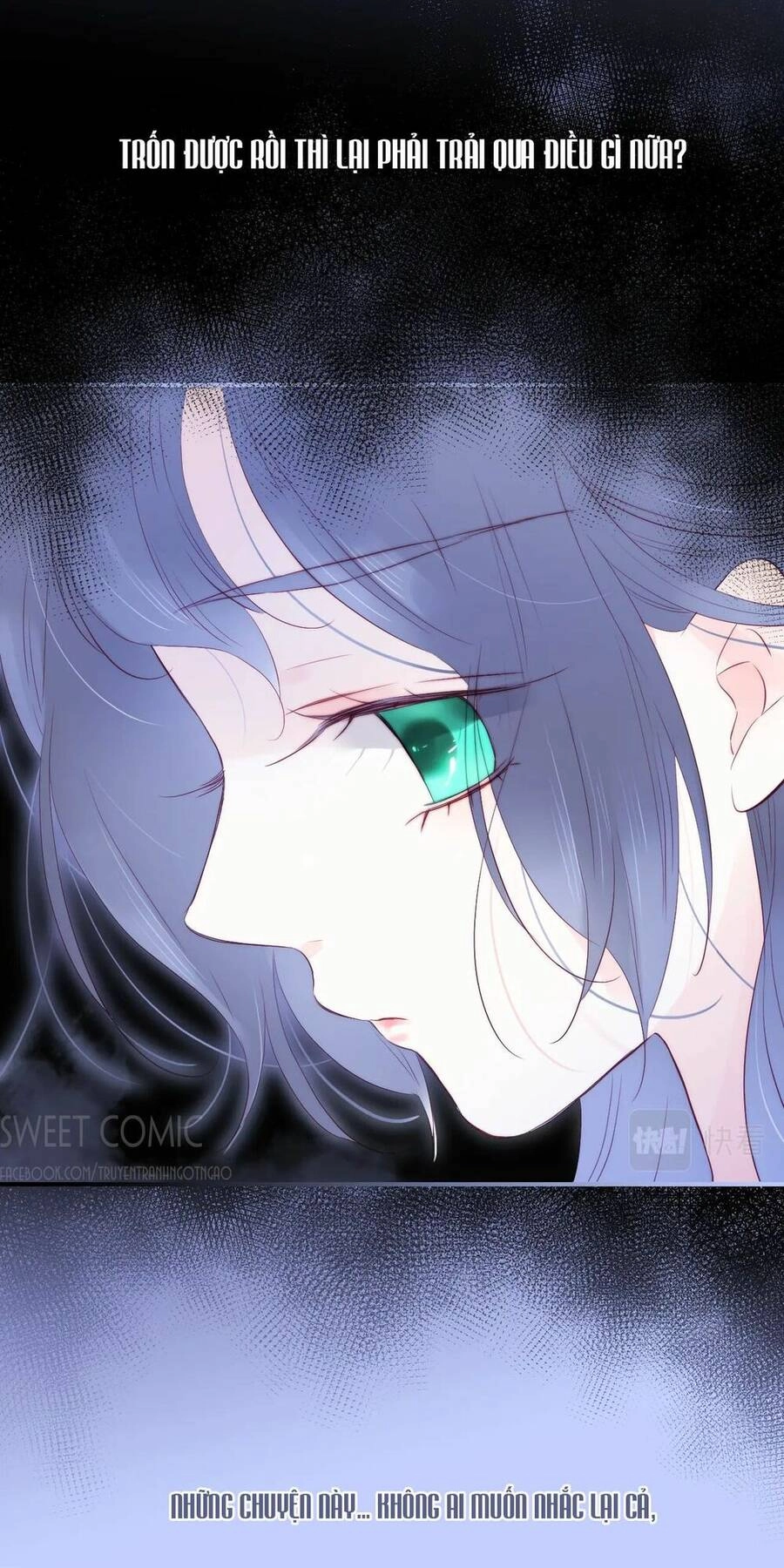 Chạy Trốn Cùng Con Nhím Chapter 54 - 6