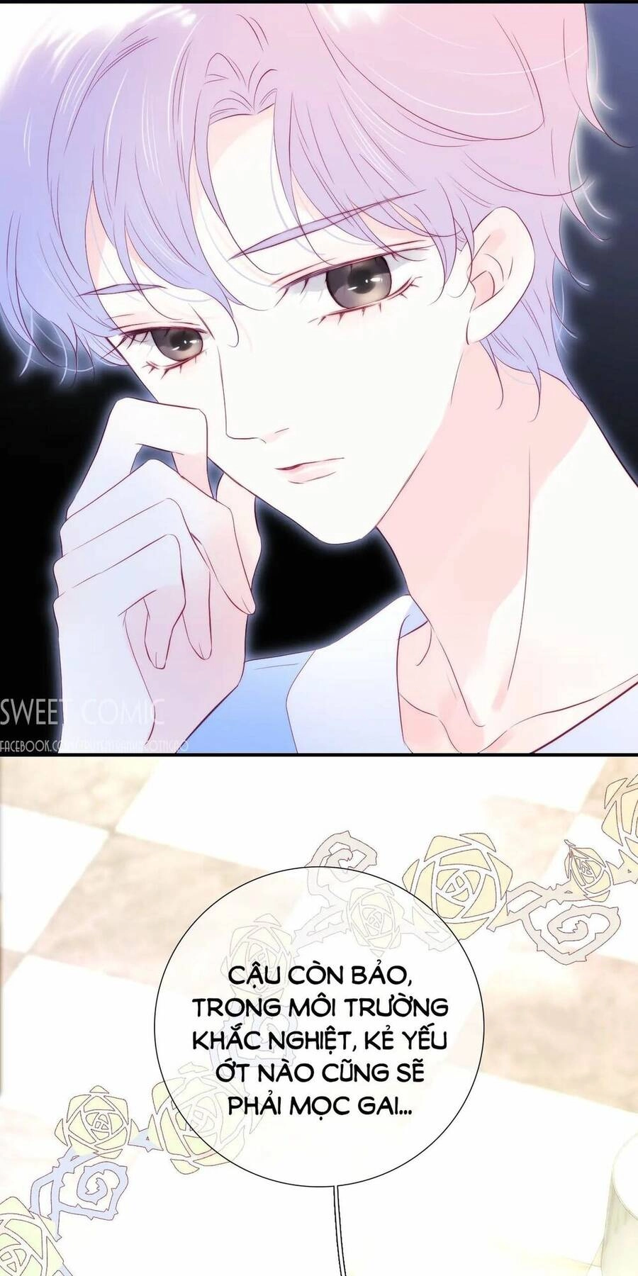 Chạy Trốn Cùng Con Nhím Chapter 54 - 25