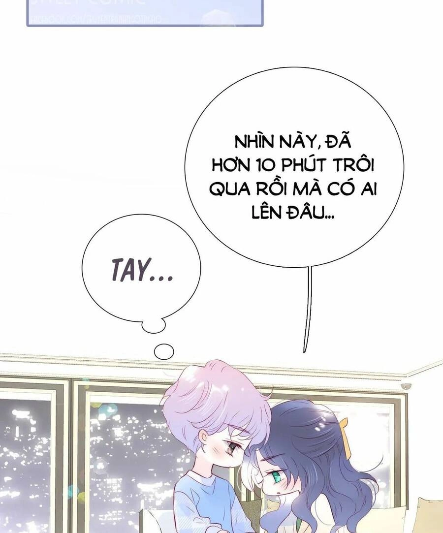 Chạy Trốn Cùng Con Nhím Chapter 54 - 36