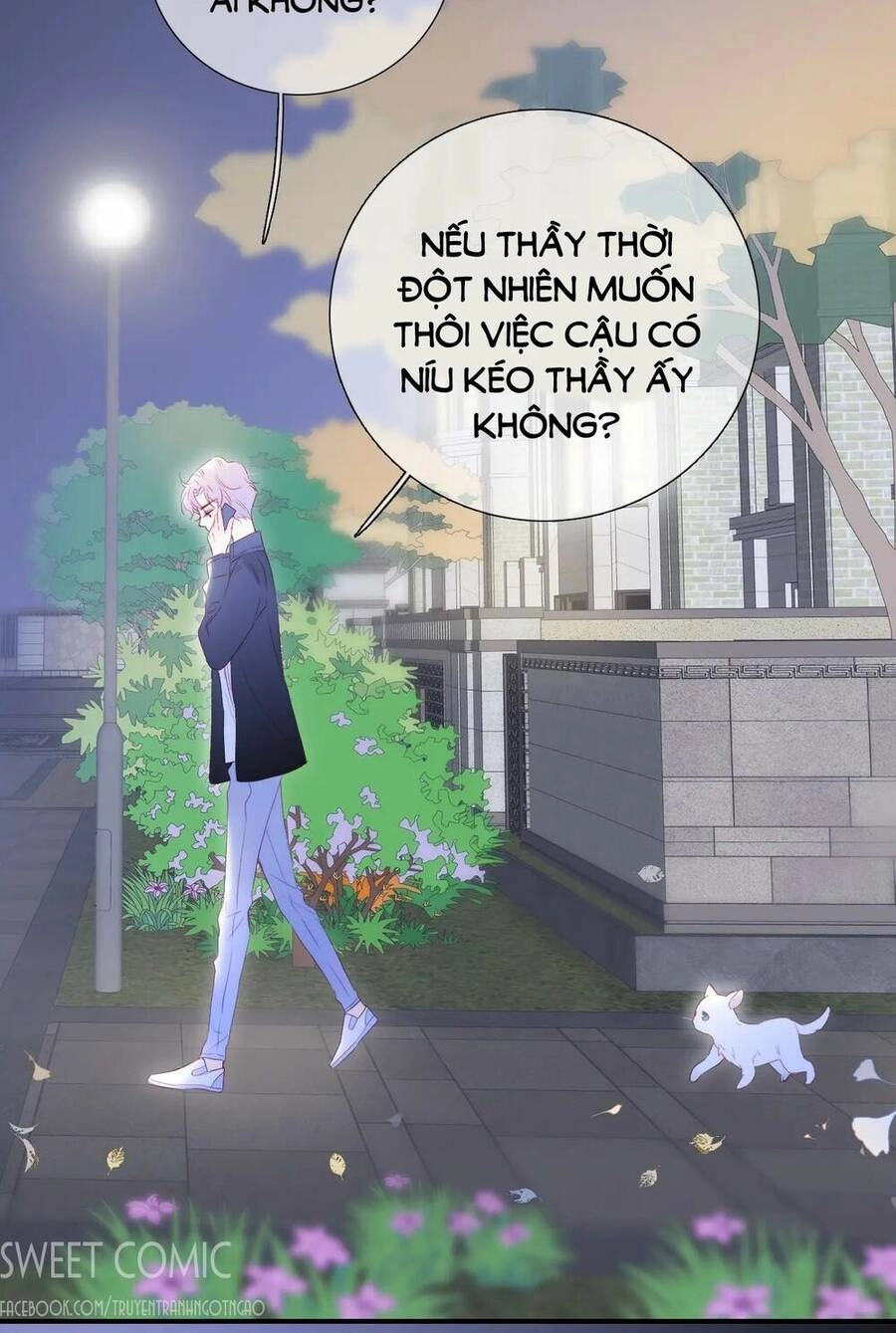 Chạy Trốn Cùng Con Nhím Chapter 58 - 16