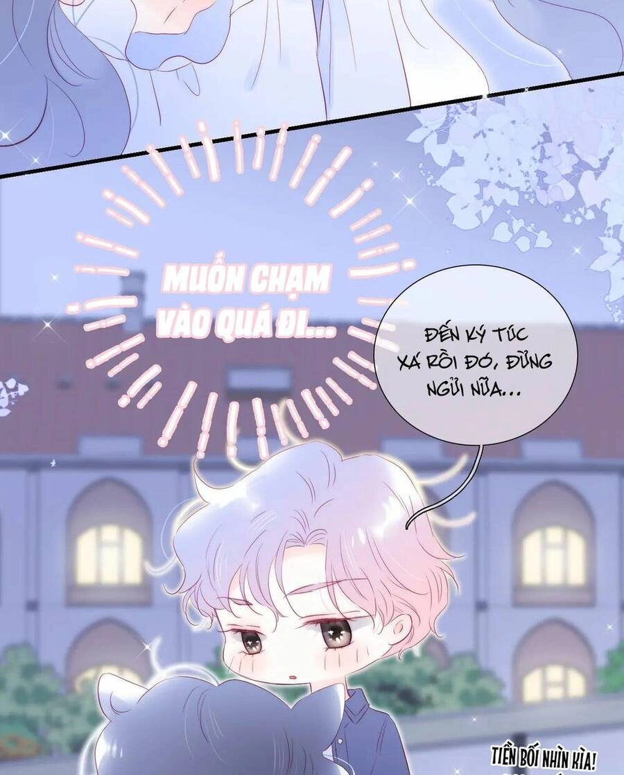 Chạy Trốn Cùng Con Nhím Chapter 58 - 48