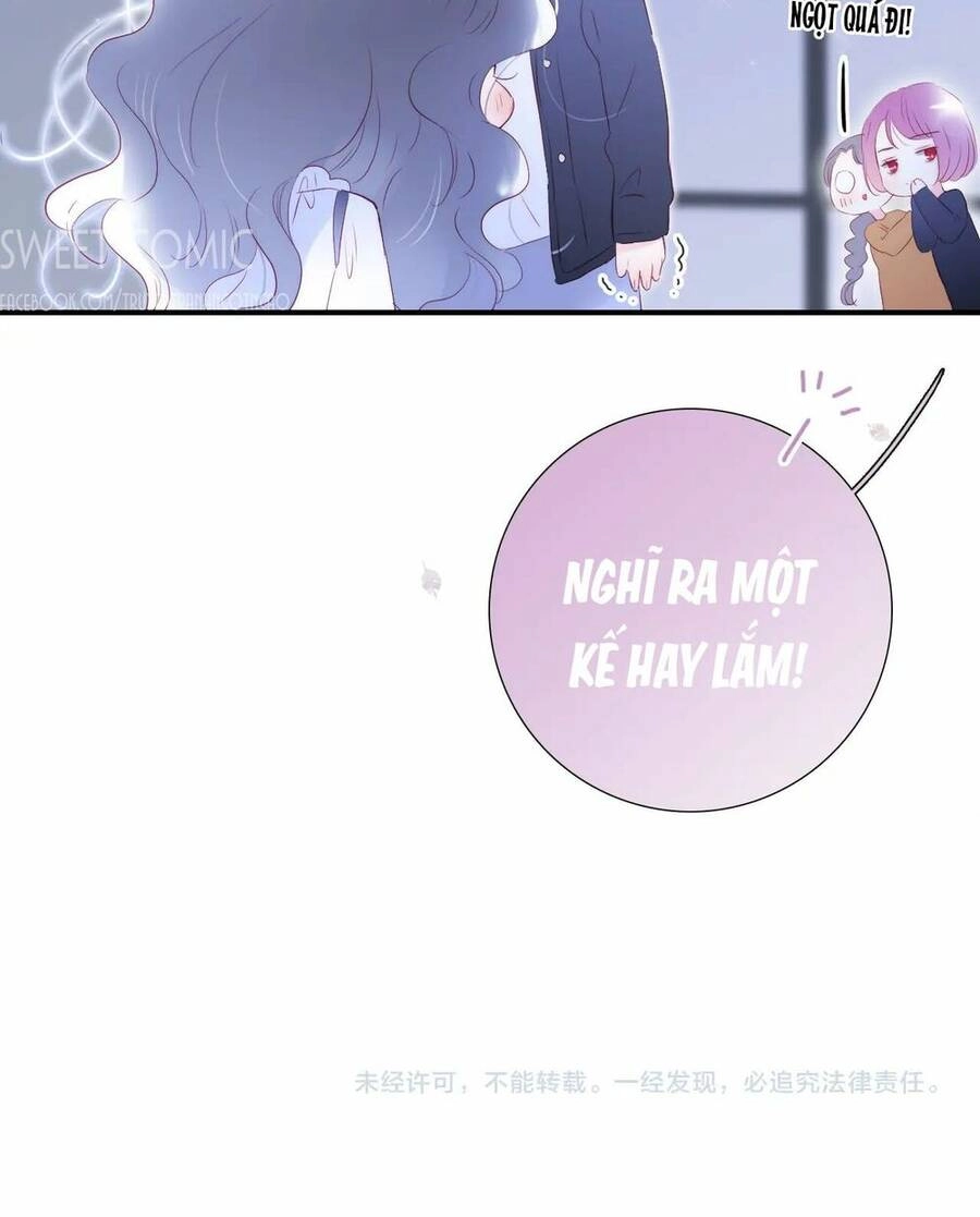 Chạy Trốn Cùng Con Nhím Chapter 58 - 49