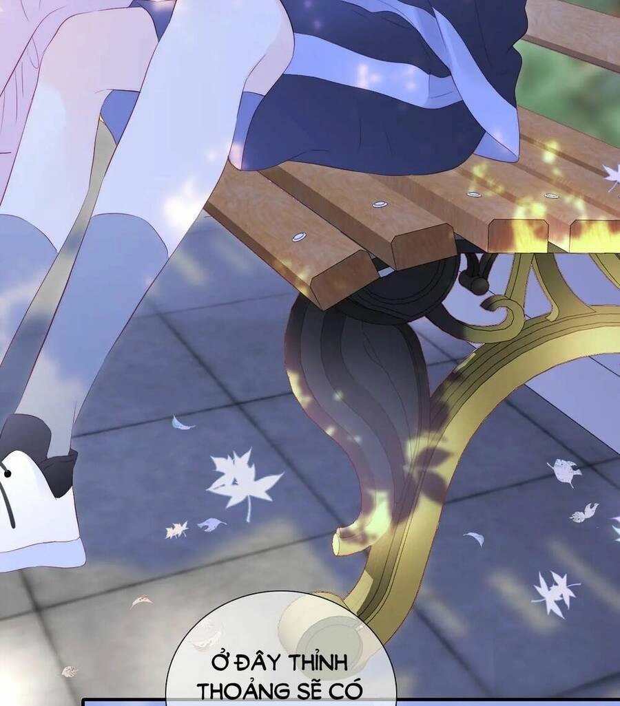 Chạy Trốn Cùng Con Nhím Chapter 60 - 33