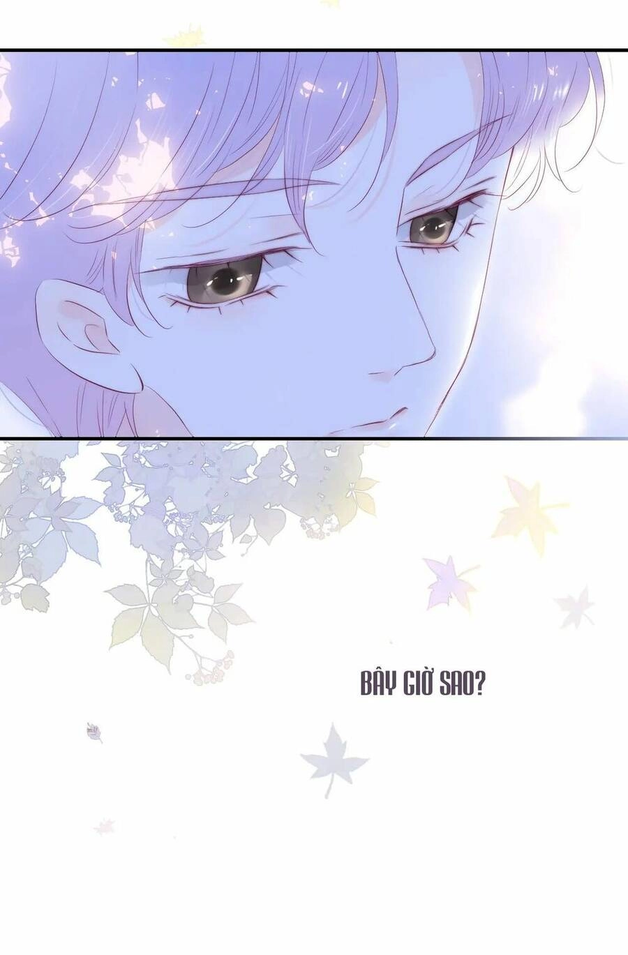 Chạy Trốn Cùng Con Nhím Chapter 62 - 41