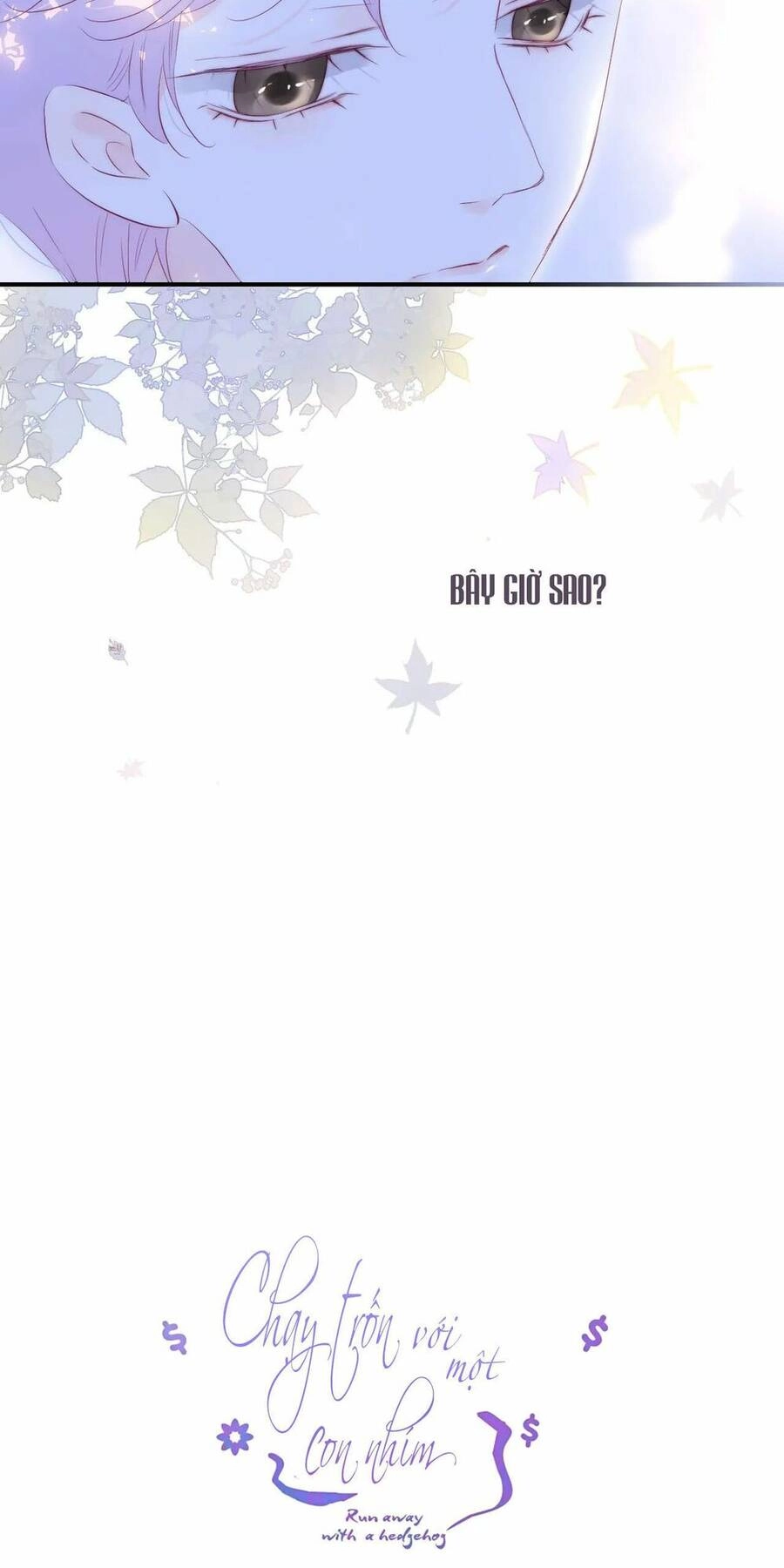 Chạy Trốn Cùng Con Nhím Chapter 63 - 3