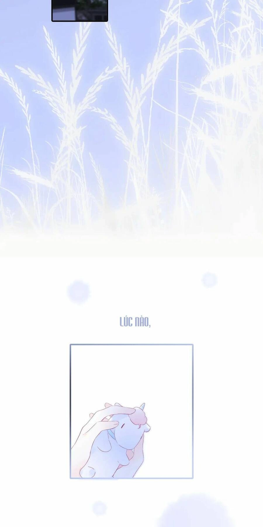 Chạy Trốn Cùng Con Nhím Chapter 67 - 36