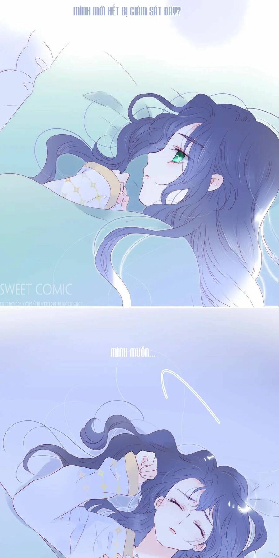 Chạy Trốn Cùng Con Nhím Chapter 67 - 37