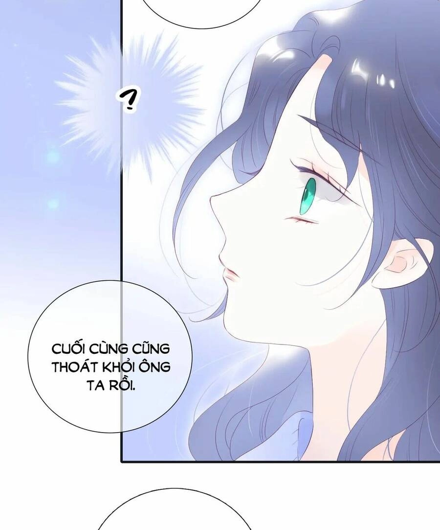 Chạy Trốn Cùng Con Nhím Chapter 71 - 24