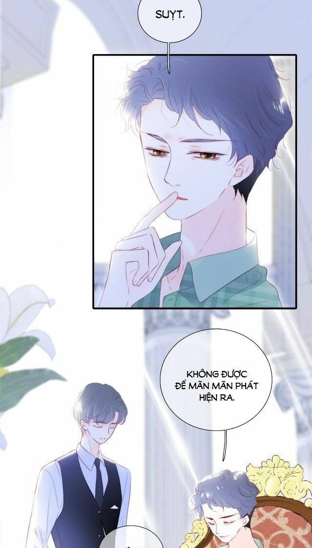 Chạy Trốn Cùng Con Nhím Chapter 76 - 24