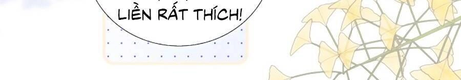 Chạy Trốn Cùng Con Nhím Chapter 81.5 - 10