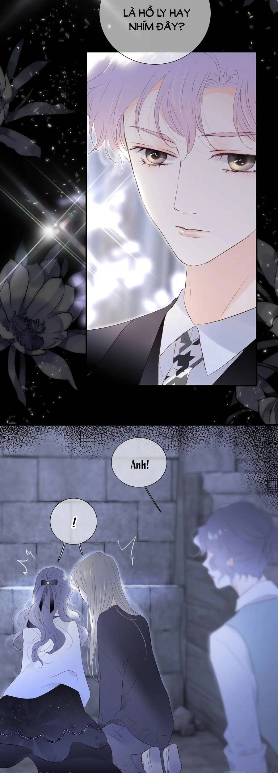 Chạy Trốn Cùng Con Nhím Chapter 82 - 21