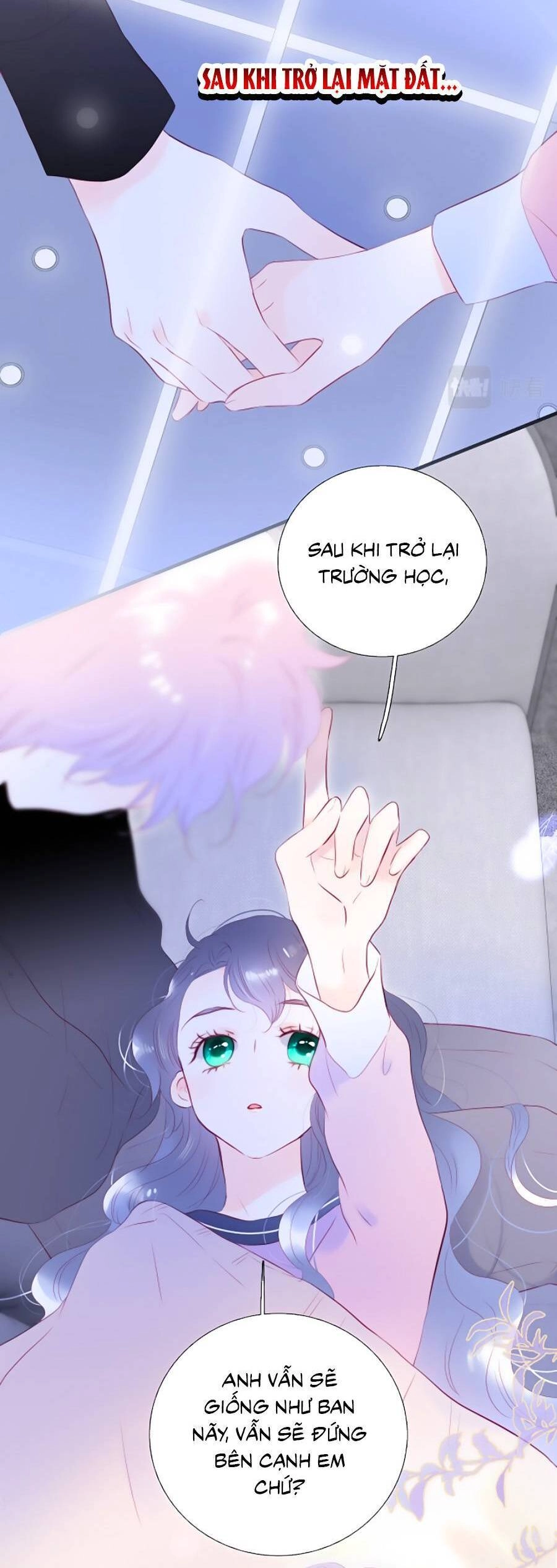 Chạy Trốn Cùng Con Nhím Chapter 85 - 25