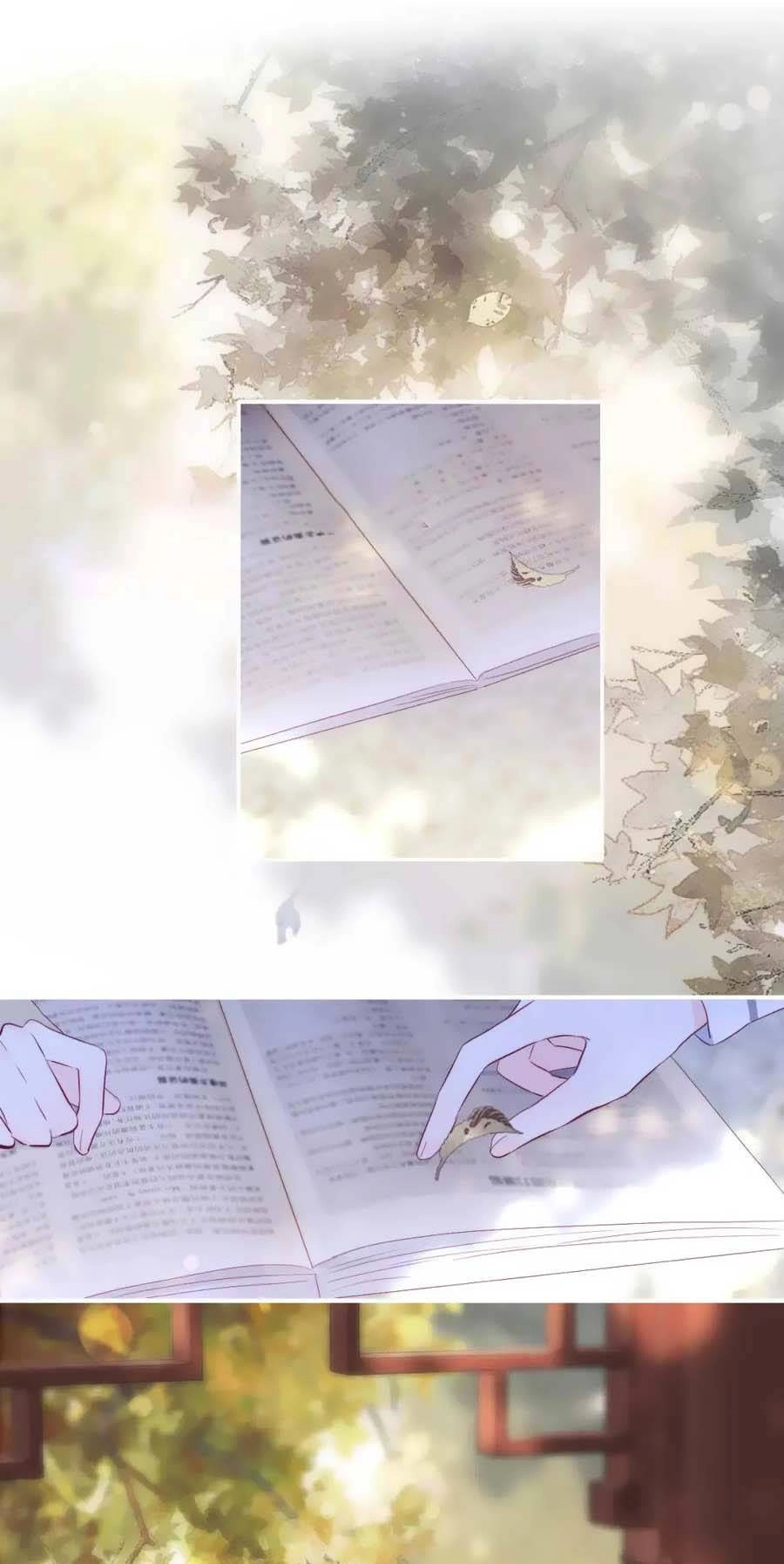 Chạy Trốn Cùng Con Nhím Chapter 92 - 2