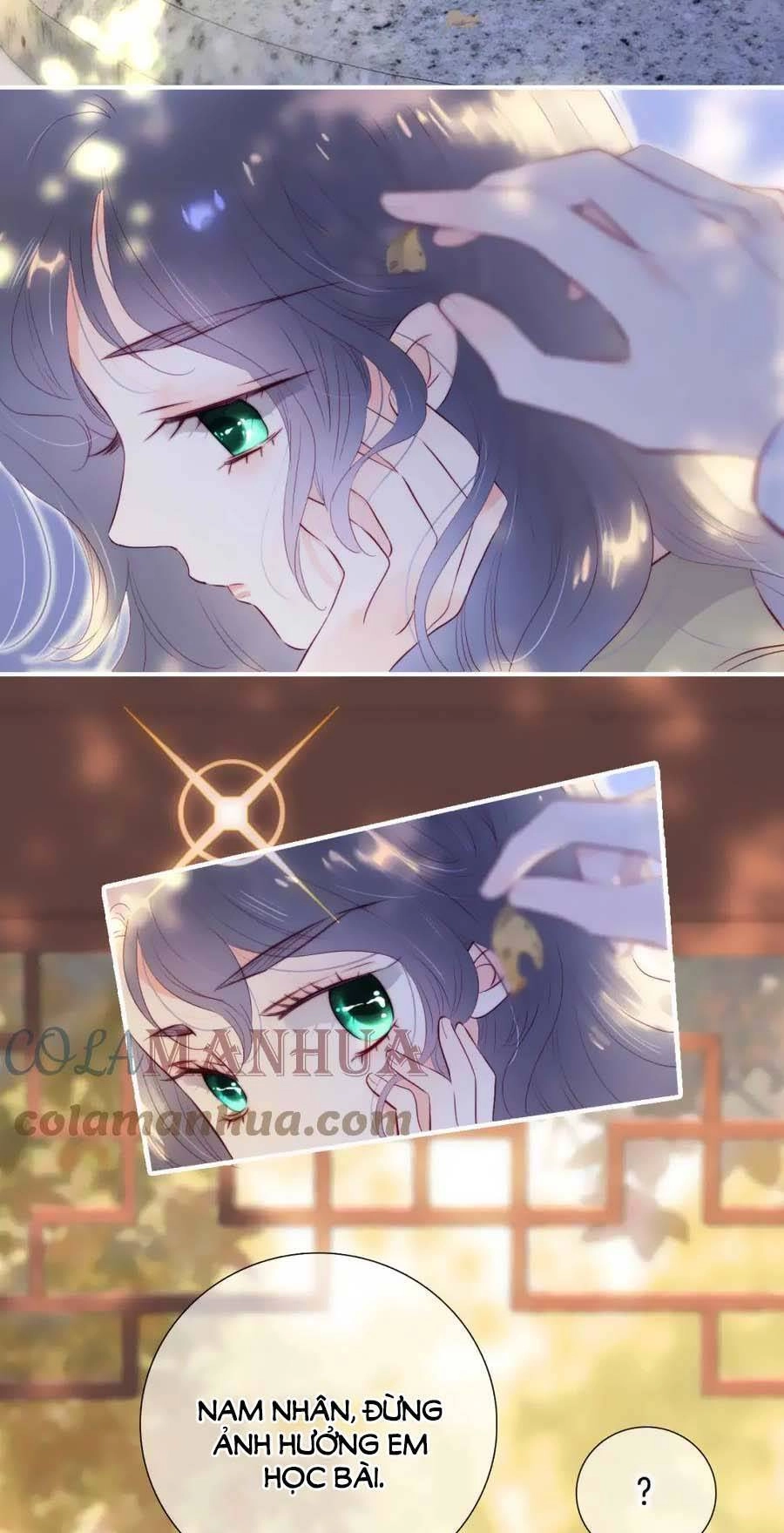 Chạy Trốn Cùng Con Nhím Chapter 92 - 4