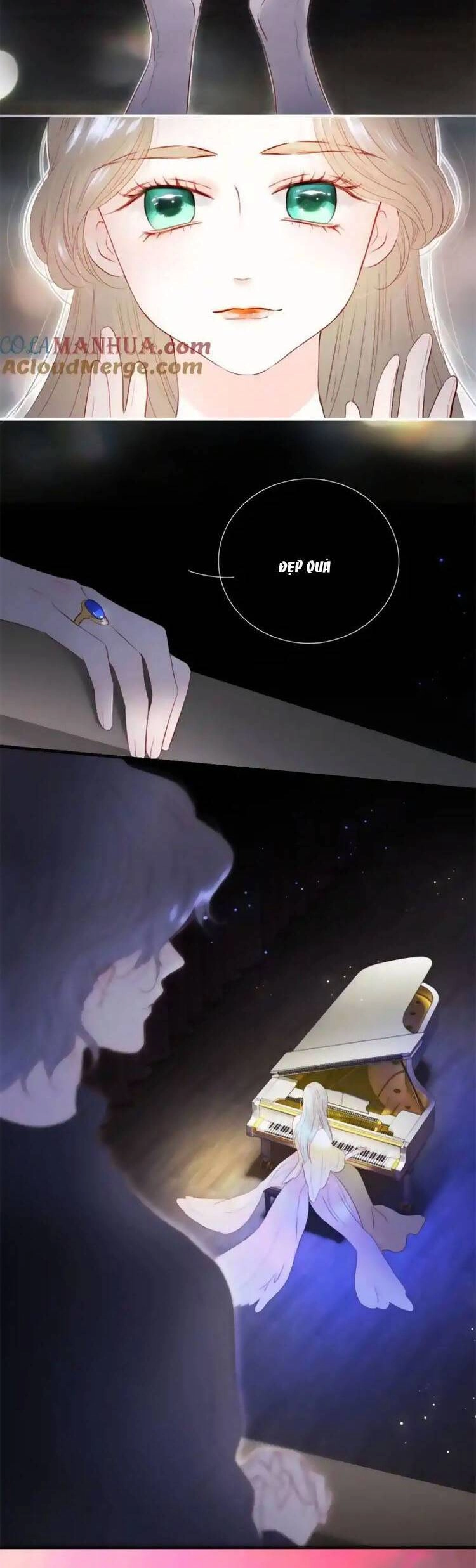 Chạy Trốn Cùng Con Nhím Chapter 103.7 - 13