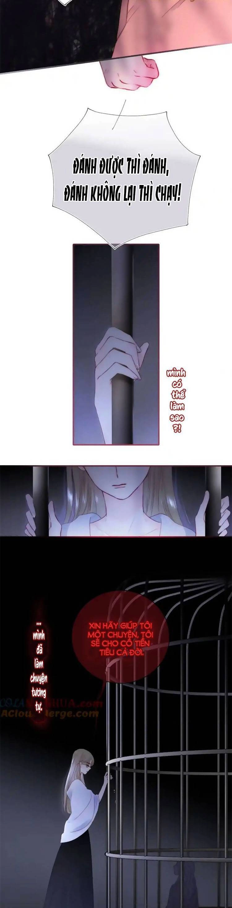 Chạy Trốn Cùng Con Nhím Chapter 103.7 - 18