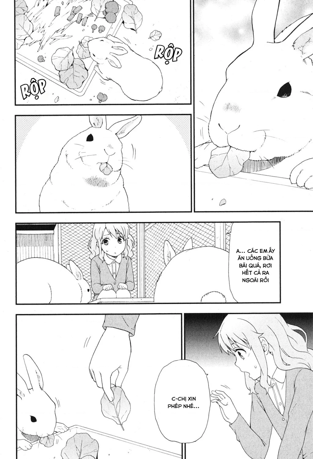 Lũ Ngốc, Bài Thi Và Linh Thú Triệu Hồi Chapter 81 - 16