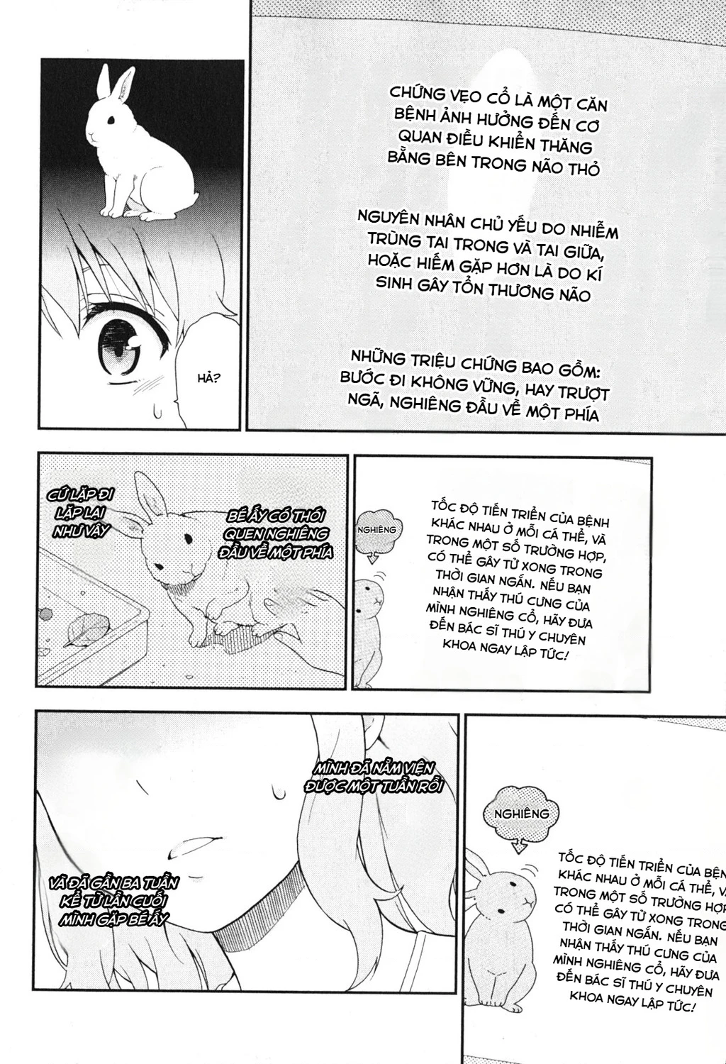 Lũ Ngốc, Bài Thi Và Linh Thú Triệu Hồi Chapter 84 - 12