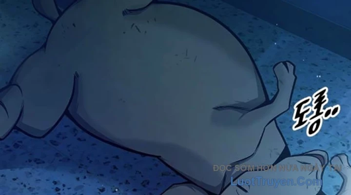 Nhà Tù Vị Thành Niên Chapter 71 - 256