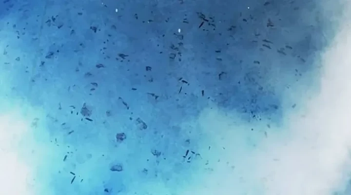 Nhà Tù Vị Thành Niên Chapter 73 - 503