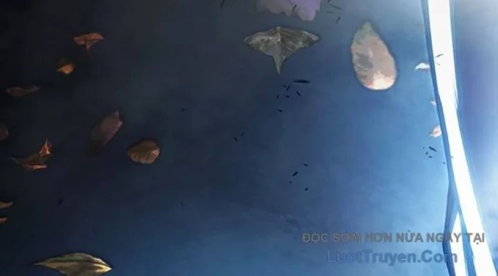 Nhà Tù Vị Thành Niên Chapter 74 - 34