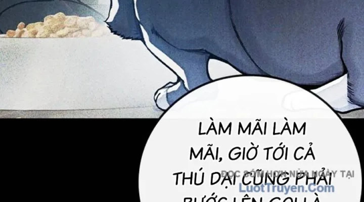 Nhà Tù Vị Thành Niên Chapter 74 - 54