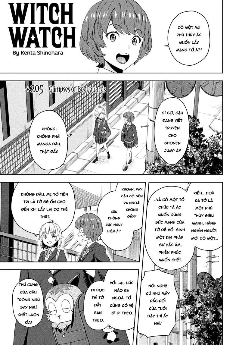 Kẻ Bảo Vệ Phù Thủy Là Một Orge Chapter 205 - 2