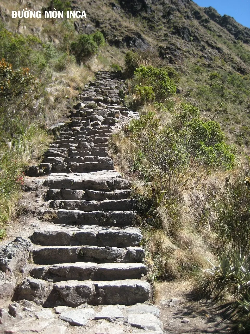 C.m.b. - Danh Sách Sự Cố Viện Bảo Tàng Shinra Chapter  20 - 54