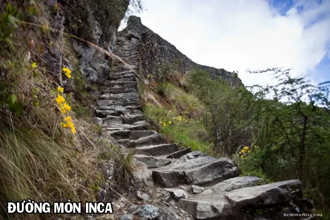 C.m.b. - Danh Sách Sự Cố Viện Bảo Tàng Shinra Chapter  20 - 55