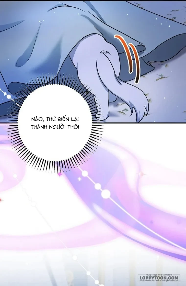 Trở Thành Miêu Nữ Của Hoàng Đế Chapter 72 - 54