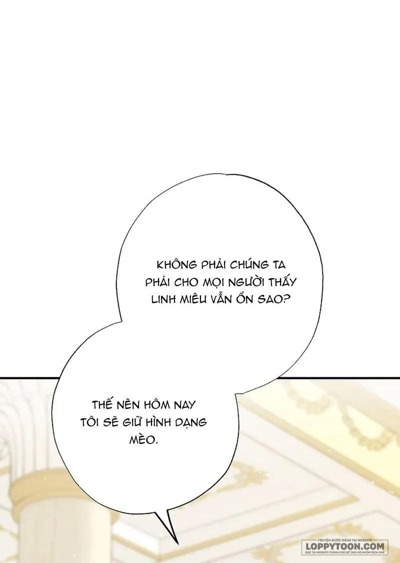 Trở Thành Miêu Nữ Của Hoàng Đế Chapter 73 - 15